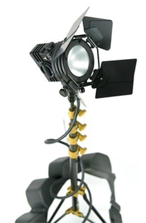 Zoom Image
